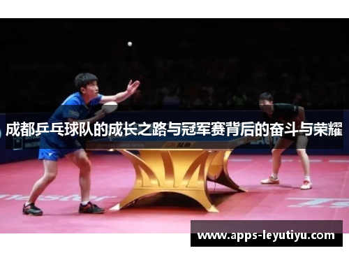 成都乒乓球队的成长之路与冠军赛背后的奋斗与荣耀