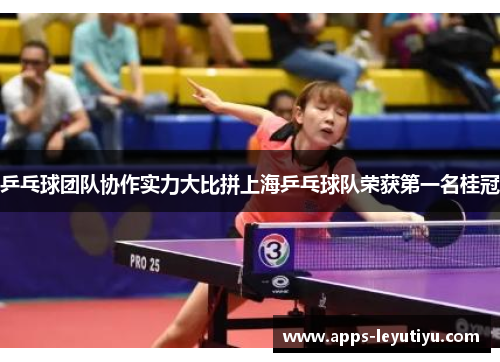 乒乓球团队协作实力大比拼上海乒乓球队荣获第一名桂冠